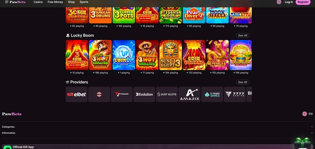 Interfaccia del Casinò PawBets