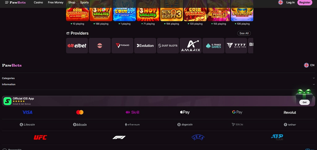 PawBets Casinò Metodi di pagamento